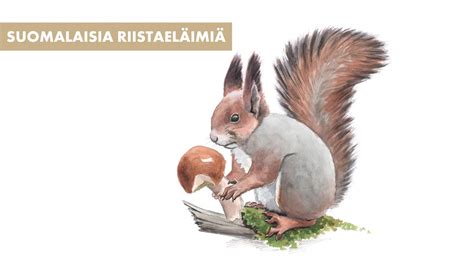  Röyhkimä! Tämän Kylmäverisen Eläimen Suosikkiravintoa Ei Voisi Arvata: